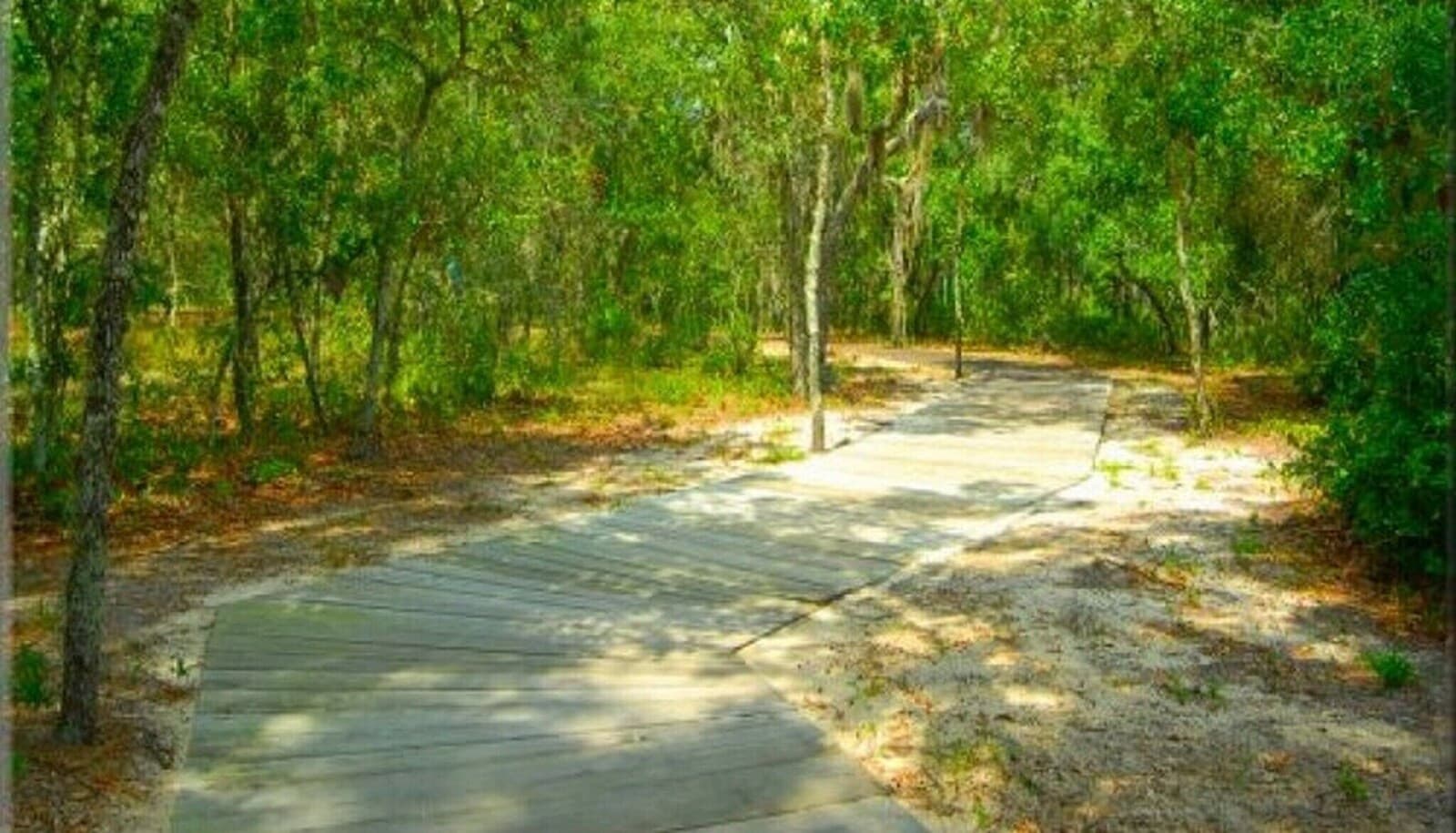 Shaded nature trail inside the resort